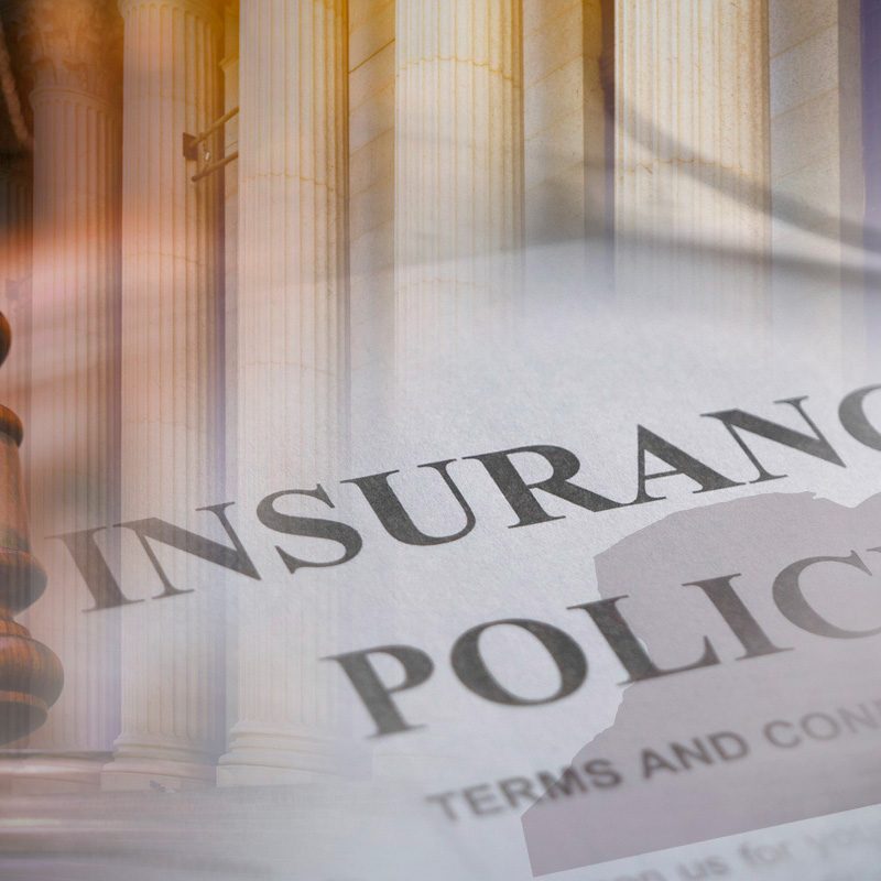 Insurance Policy Essentials: What Every Policyholder Should…